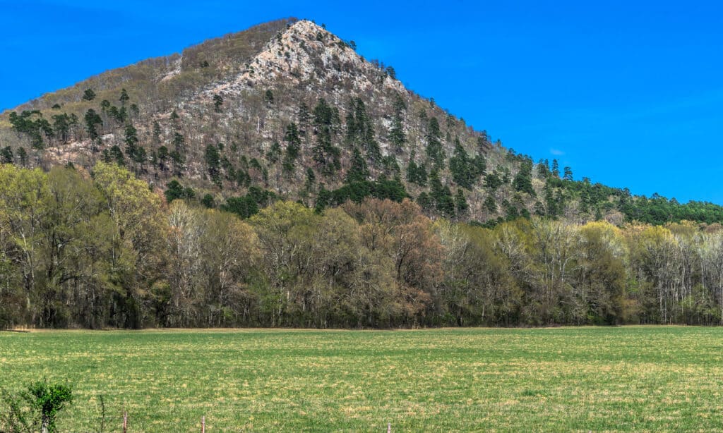 Pinnacle Mountain Arkansas