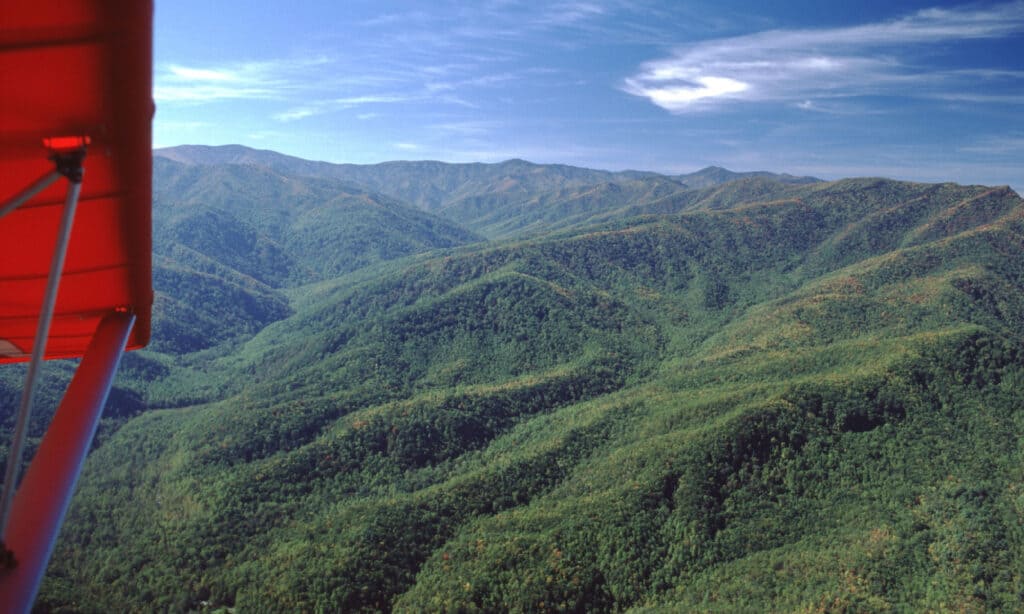 Monte Guyot