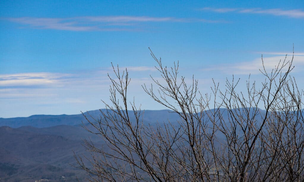 Brasstown Montagna Calva Georgia