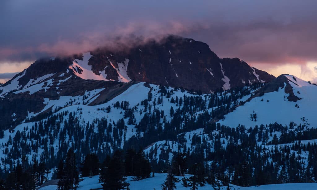 Monte Diller California