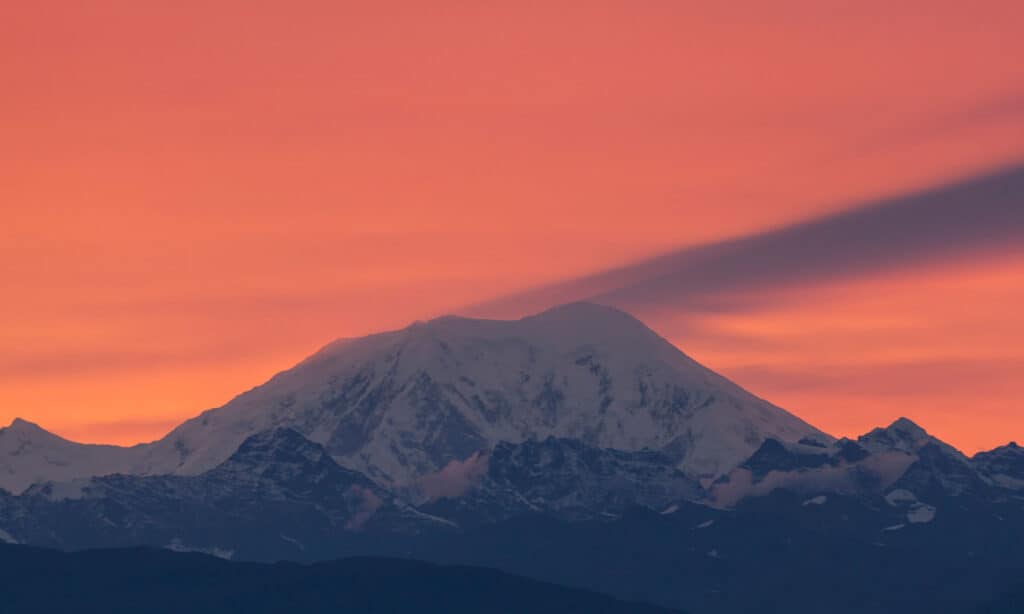 Monte Foraker