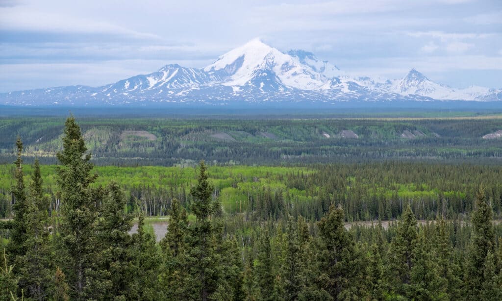 Monte Blackburn Alaska