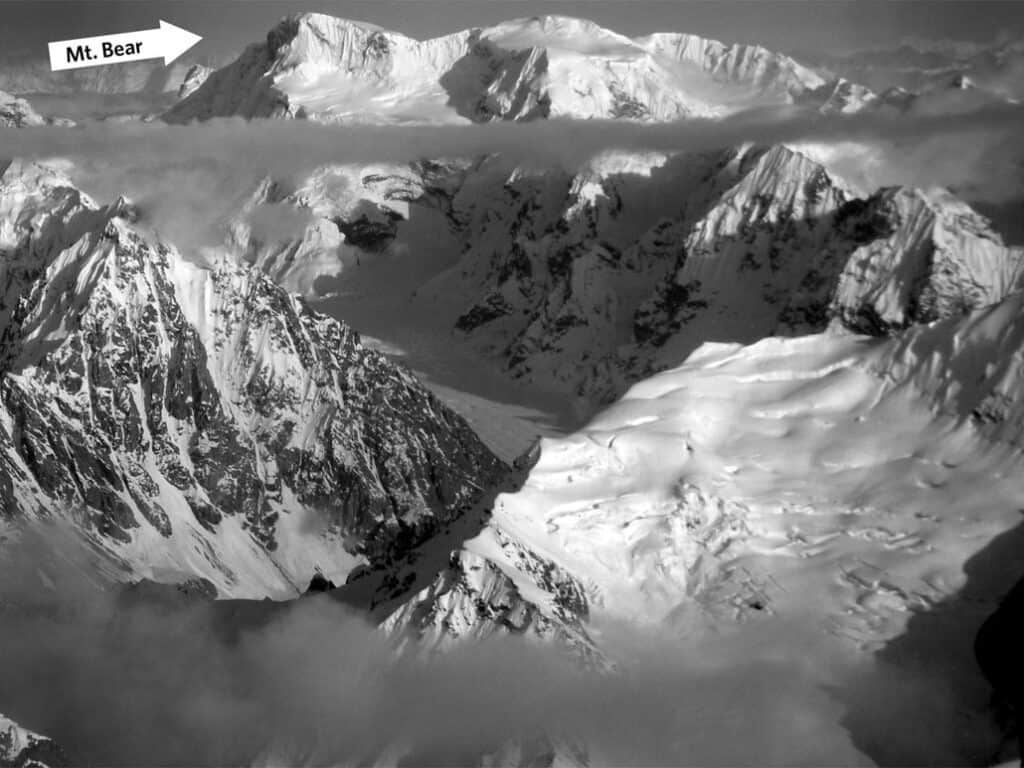 Monte orso Alaska
