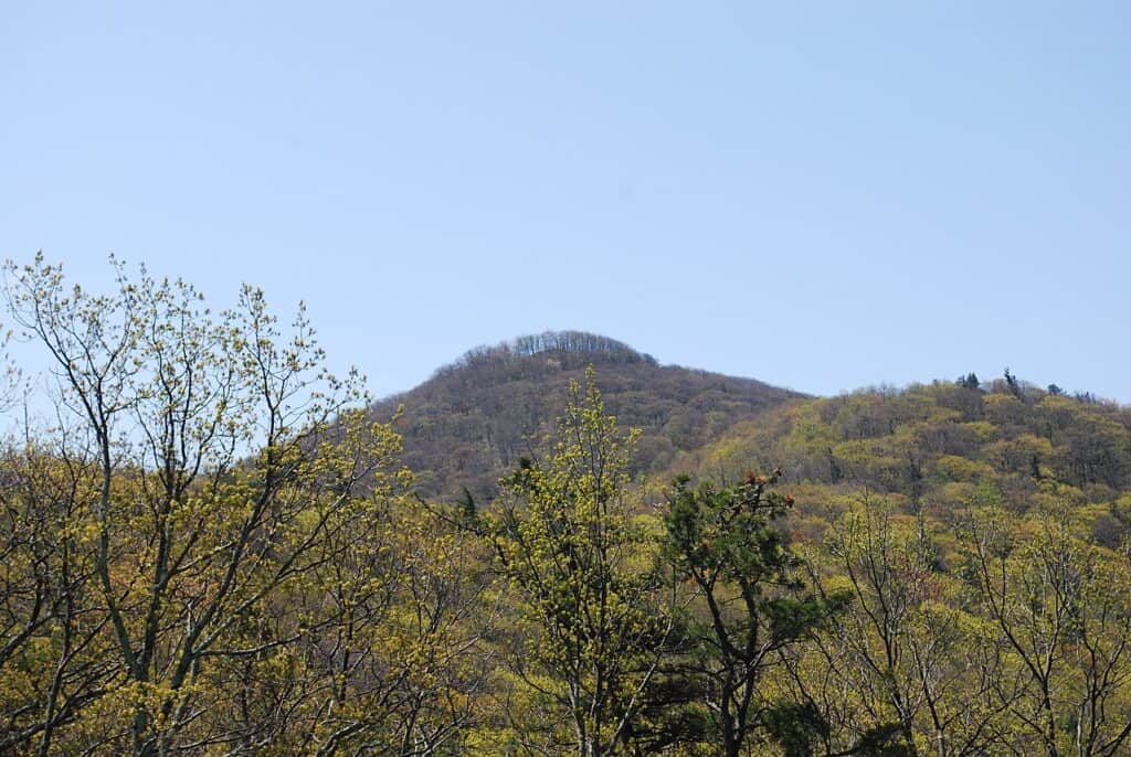 Montagna Shenandoah