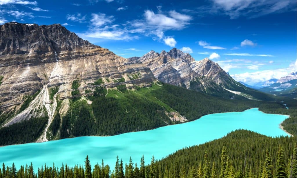 Lago Peyto