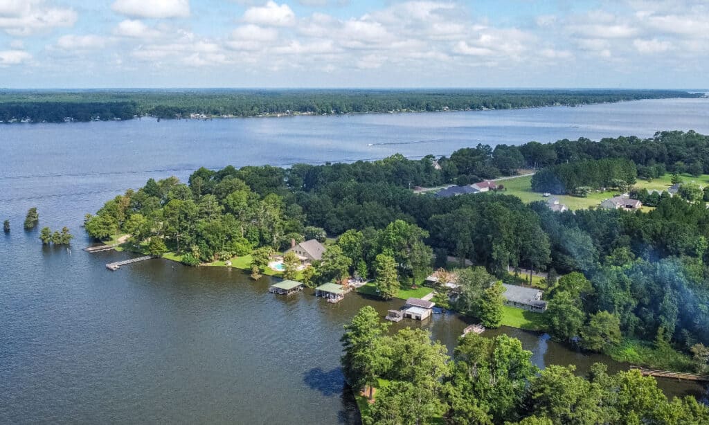 Lago Blackshear Georgia
