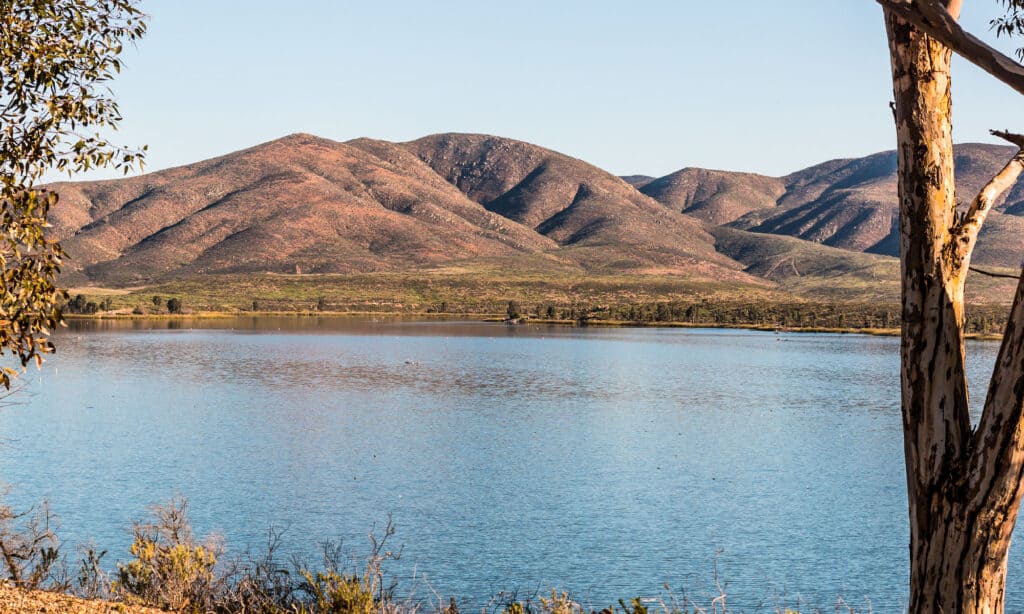 Basso Lago Otay California