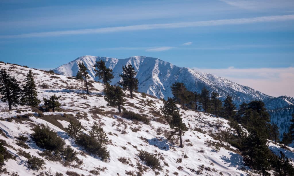 Vista del Monte Baldy innevato dal punto di ispirazione