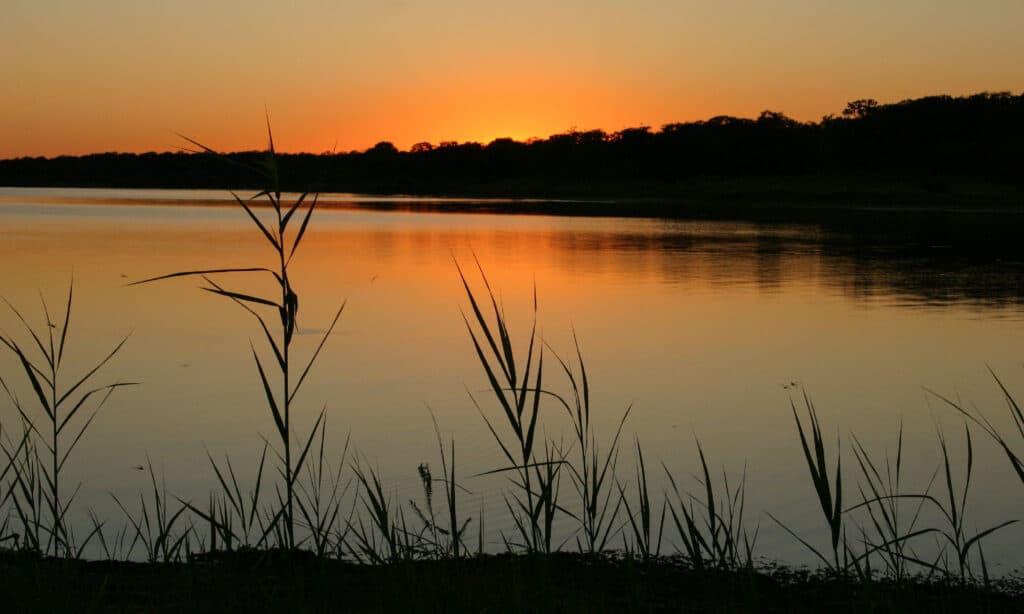 Lago Somerville