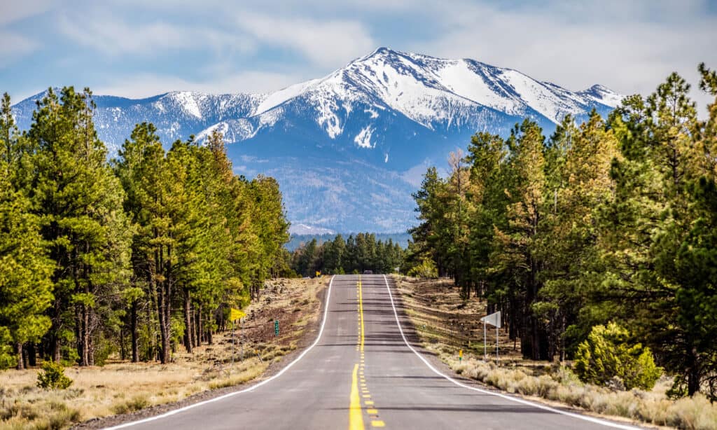 Humphreys Peak Arizona