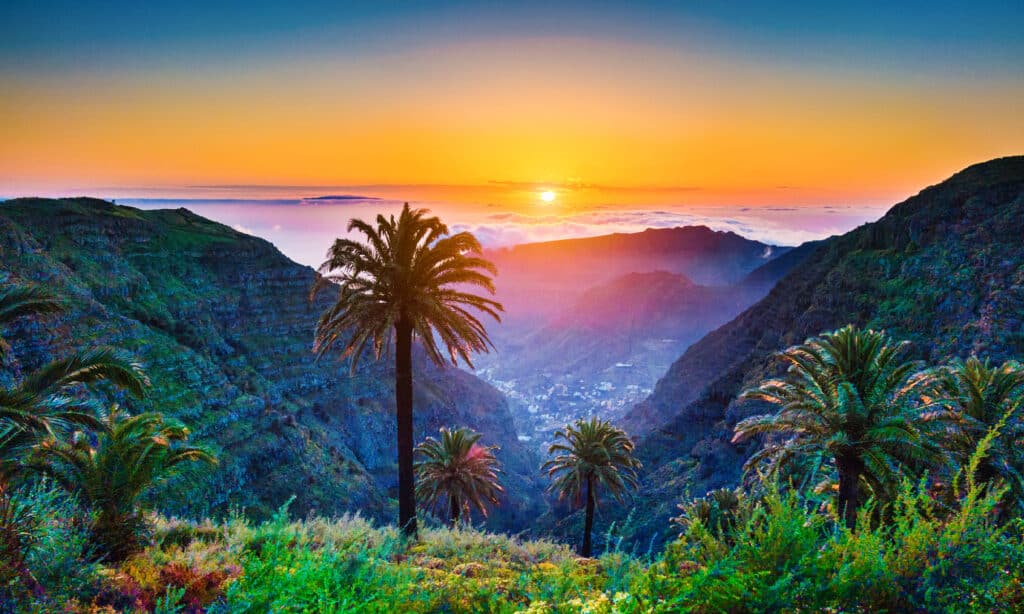 isole Canarie