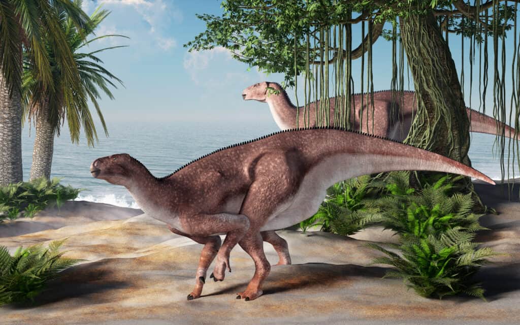 Iguanodon sulla spiaggia