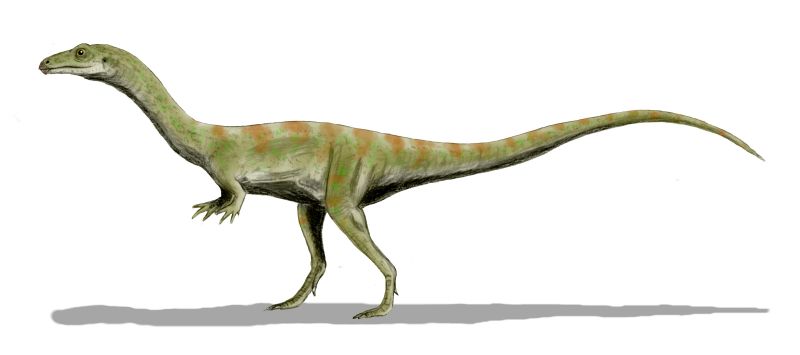 Shuvosauro