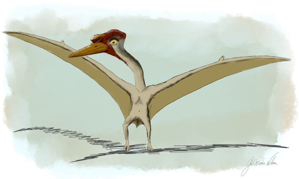 Thanatosdrakon amaru illustrazione
