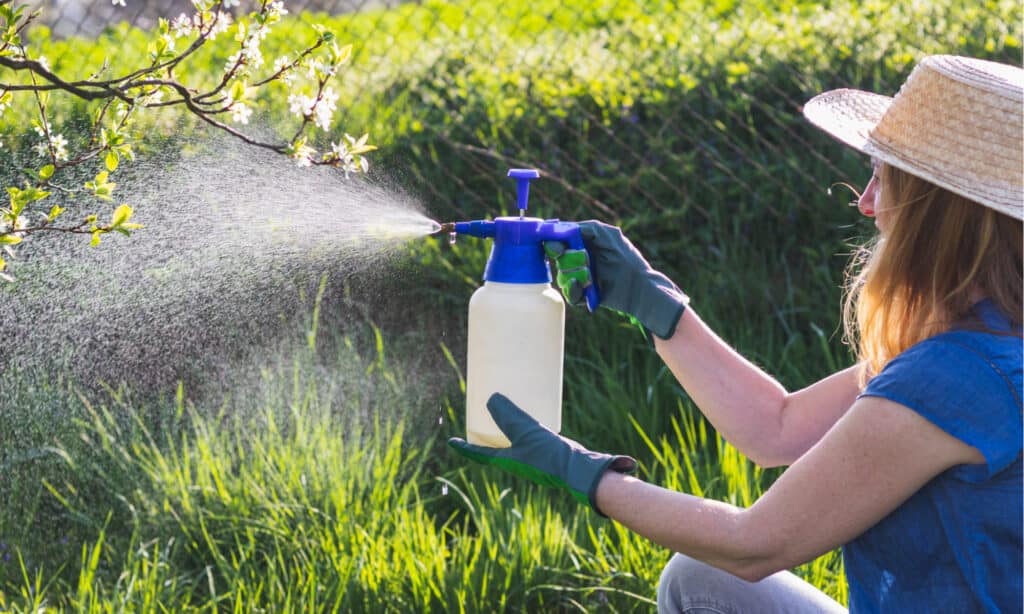 I migliori spruzzatori da giardino
