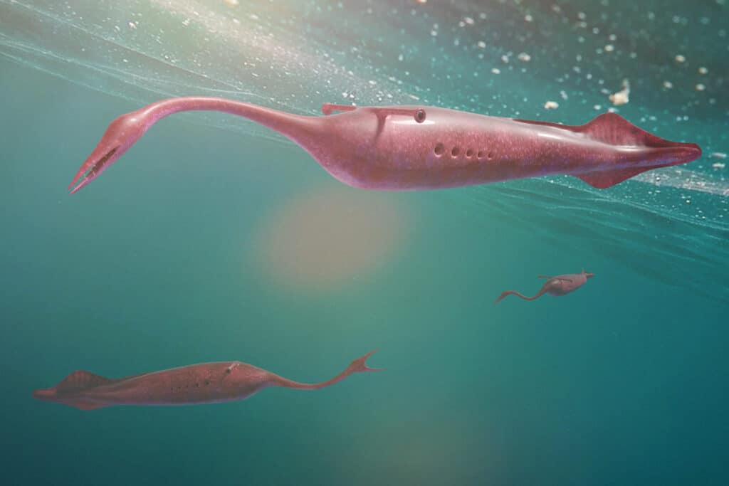 Tully Monster che nuota nell'oceano