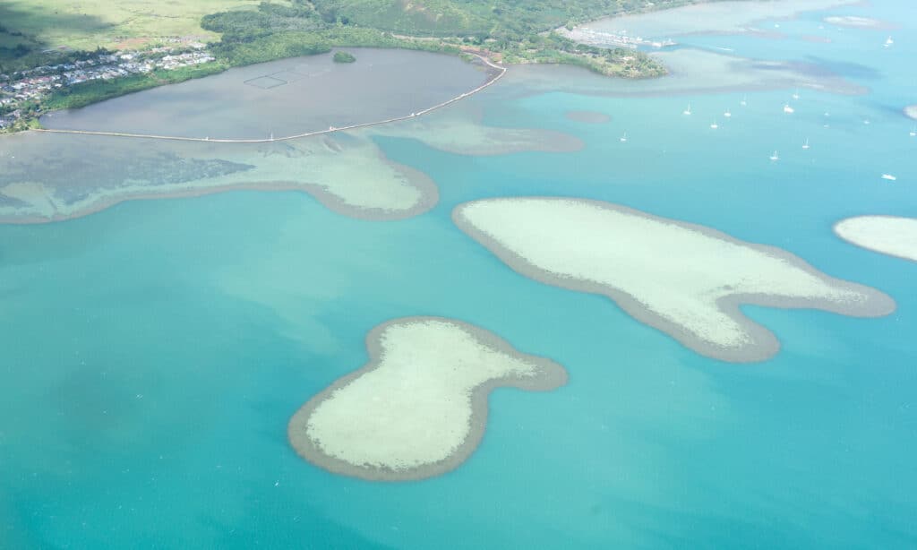 Heeia Peschiera