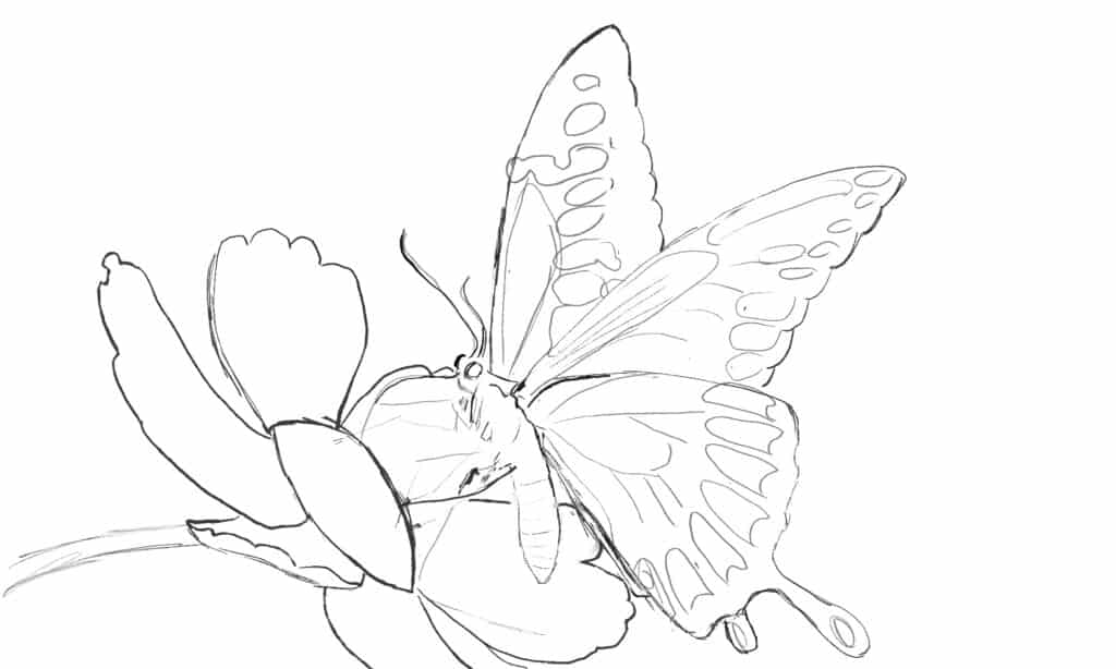 Rimozione di linee extra dal disegno