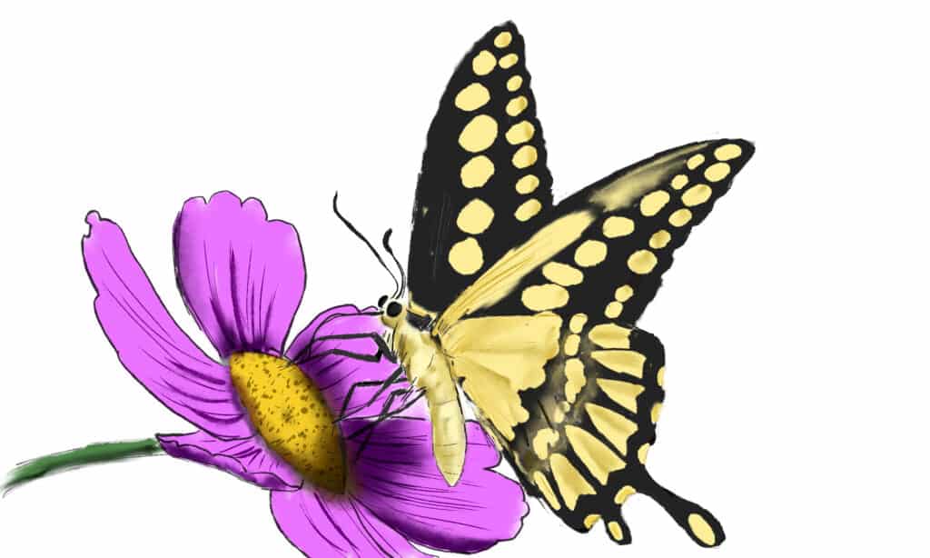 Le ombre danno forma nel disegno