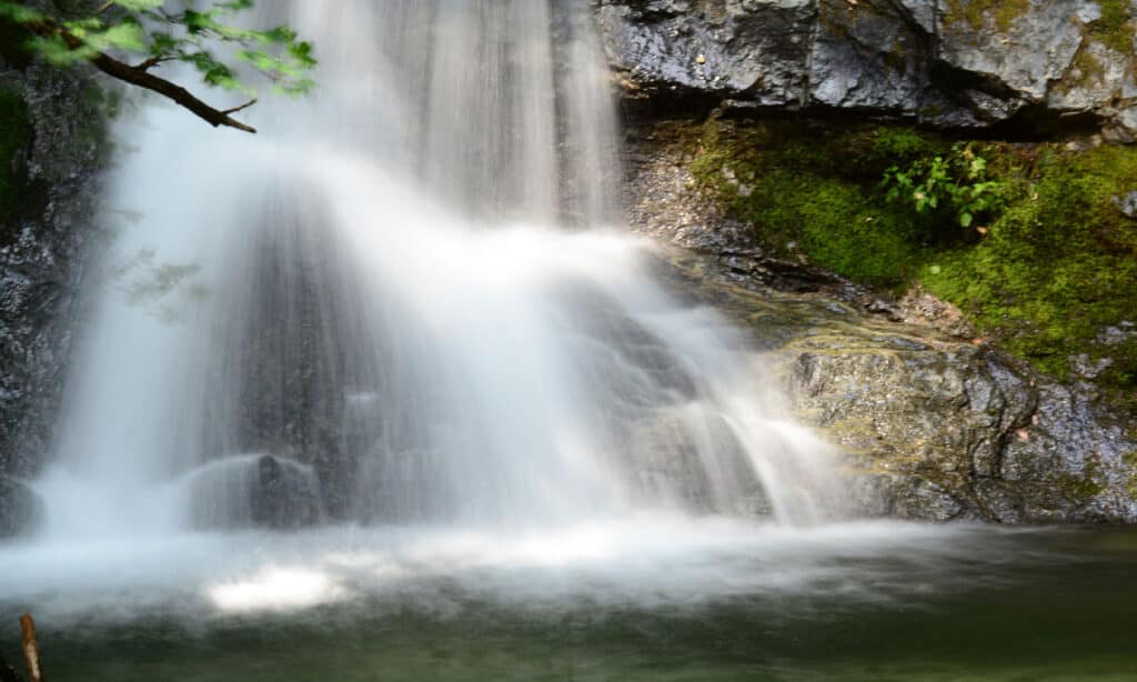 immagini di molte delle cascate e dei corsi d'acqua di Whiskeytown