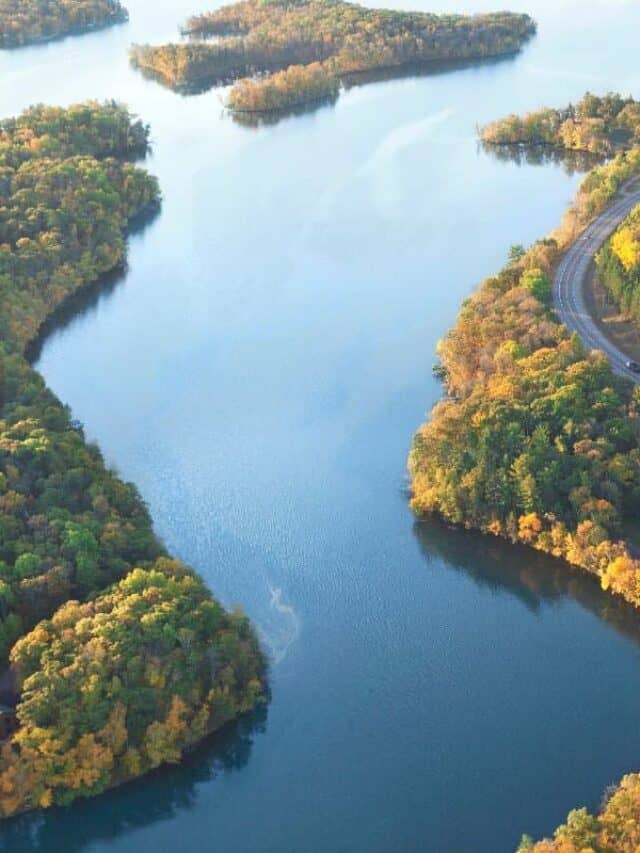 Strada curva lungo il fiume Mississippi durante l'autunno