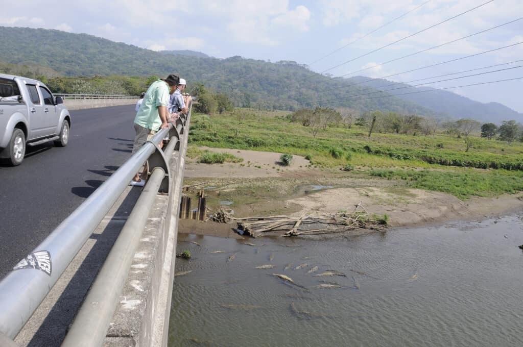 Turisti sul ponte di Tarcoles che guardano i coccodrilli sotto.