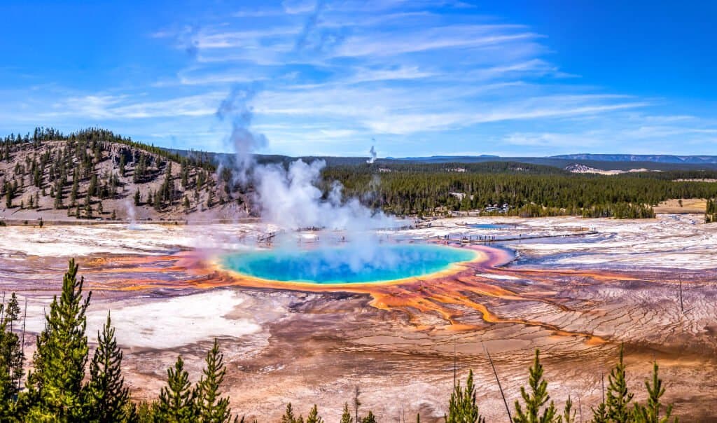 animali nel Parco Nazionale di Yellowstone