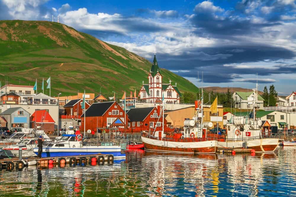 Cane da bestiame dell'Appenzello che corre sull'erba verde