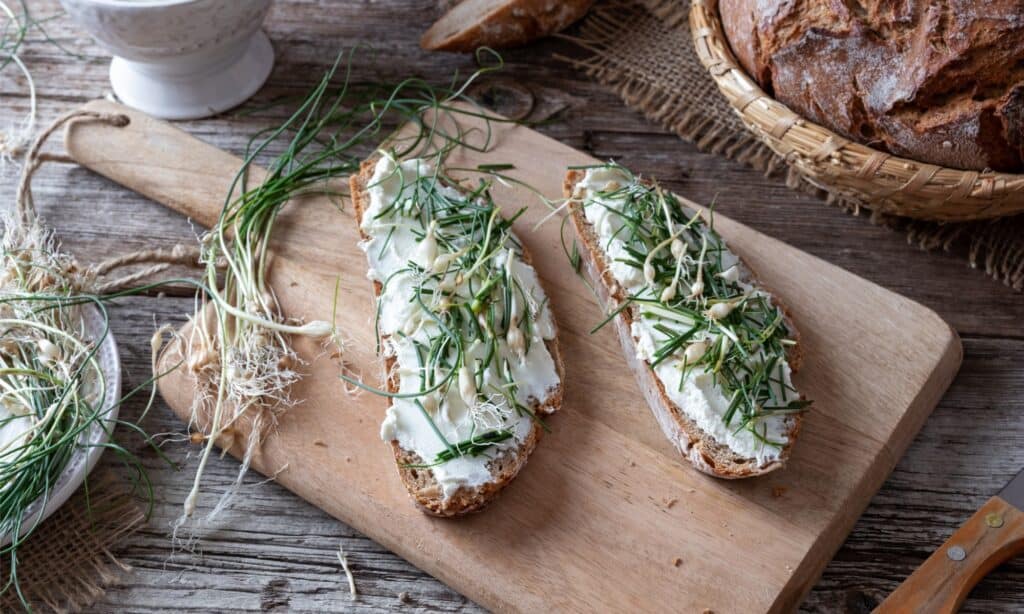 Cipolla selvatica vs aglio selvatico