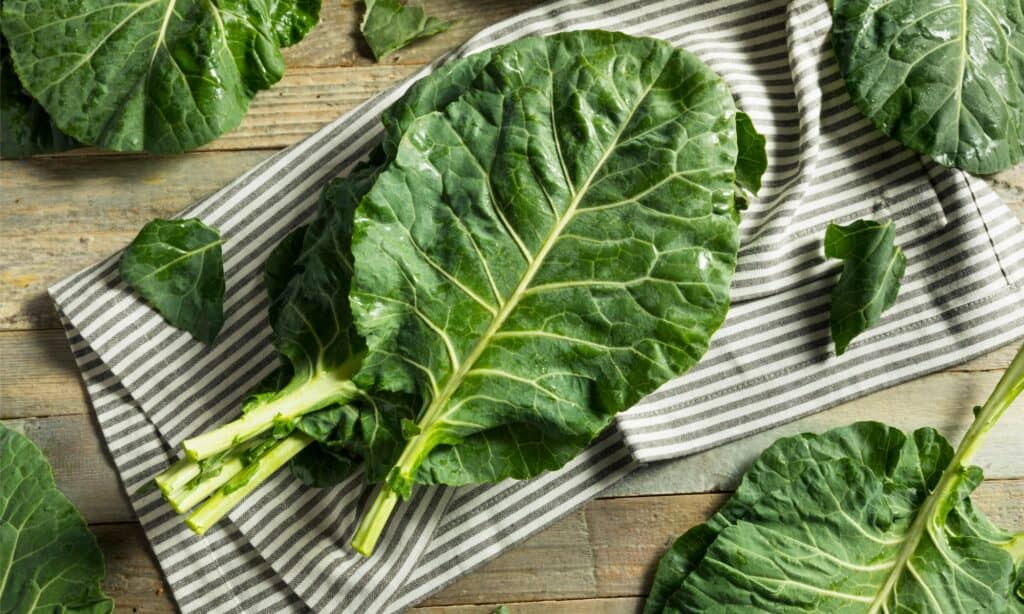 Cime di rapa vs cavolo cappuccio
