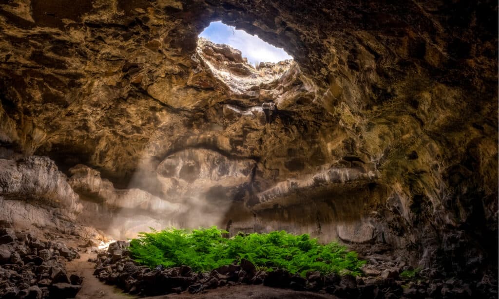 pozzo senza fondo della grotta dei mammut