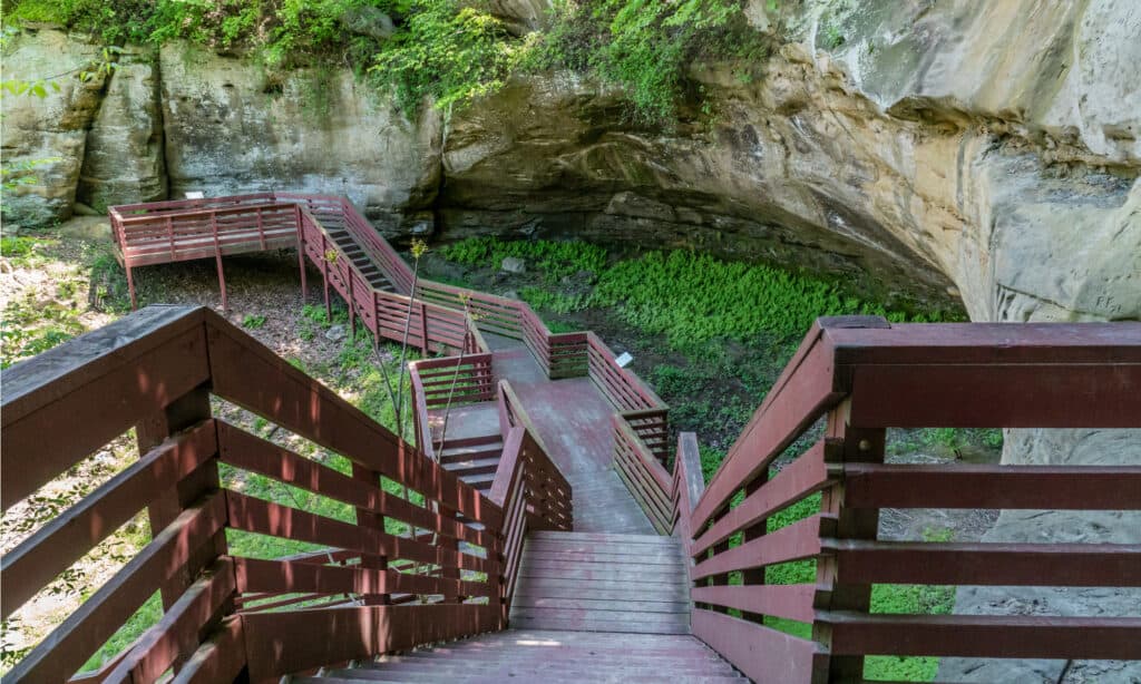 Parco statale della grotta indiana