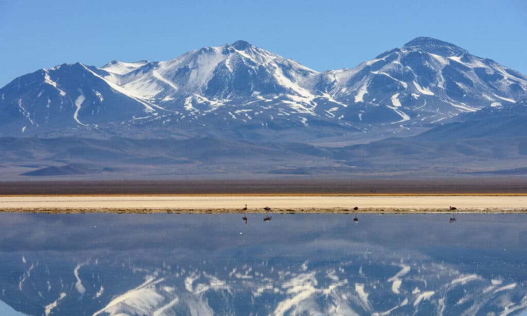 La più grande catena montuosa della terra è la catena montuosa delle Ande.