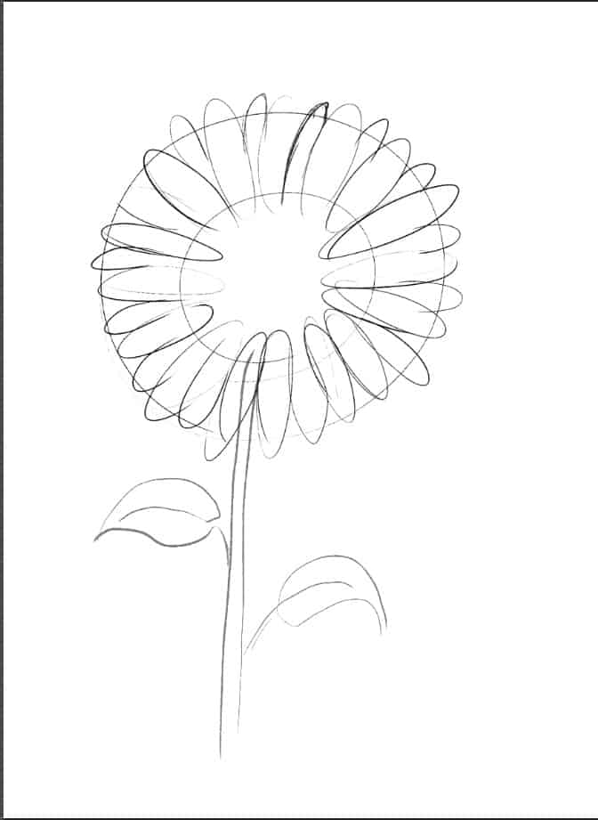 Girasole 02