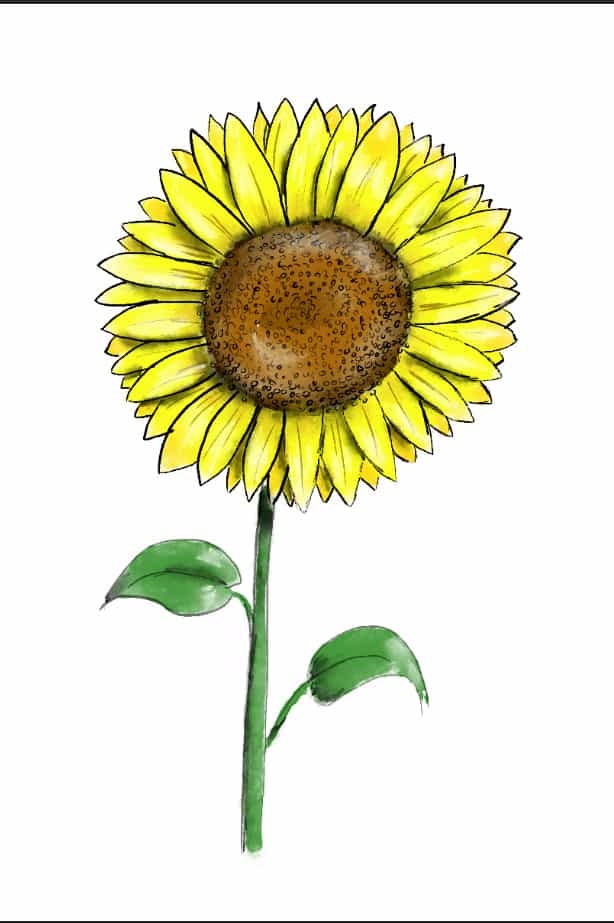 Girasole 08Finiscilo