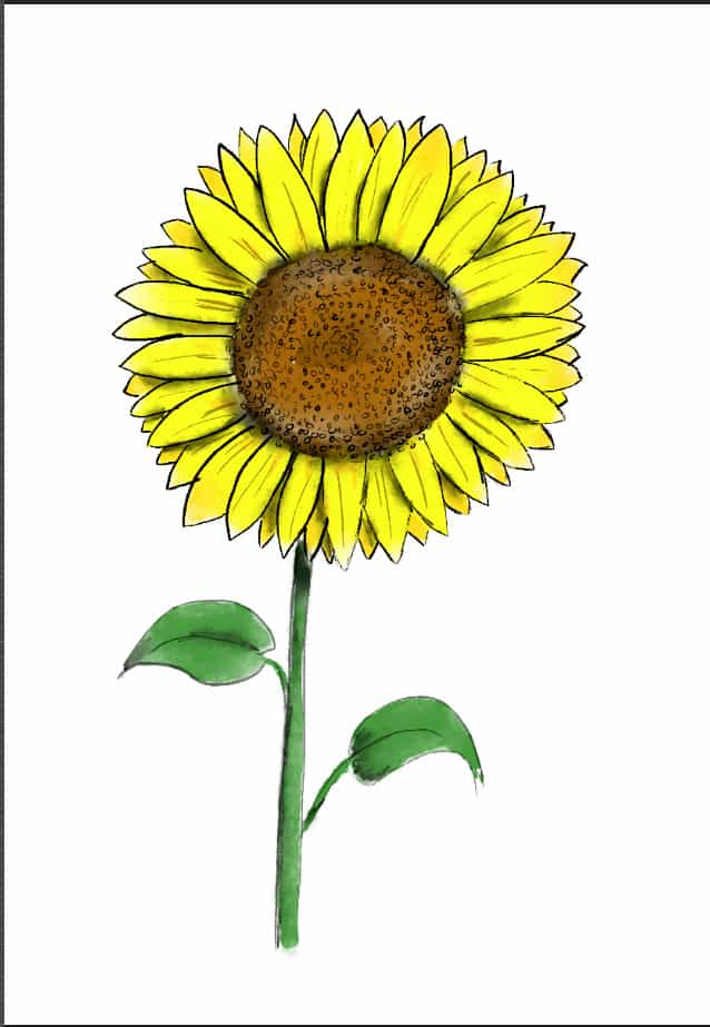 Girasole 7: aggiungi le ombre
