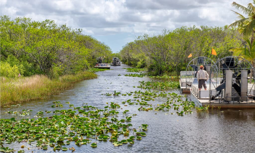 Parco nazionale delle Everglades