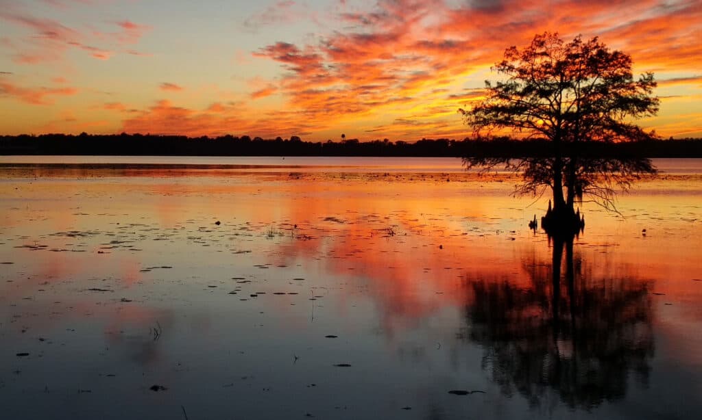 Lago Seminole