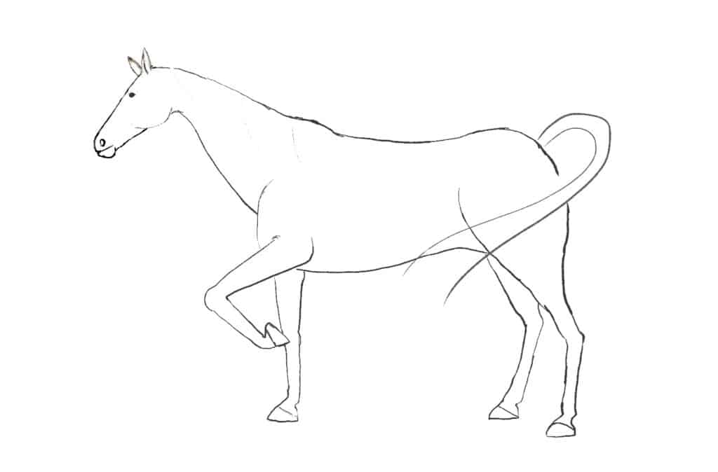 Passaggio 3
