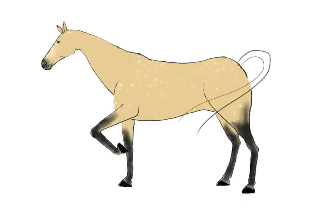 Passaggio 4 di estrazione del cavallo