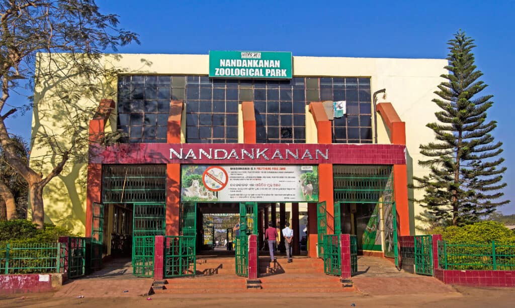 Parco zoologico di Nandankanan