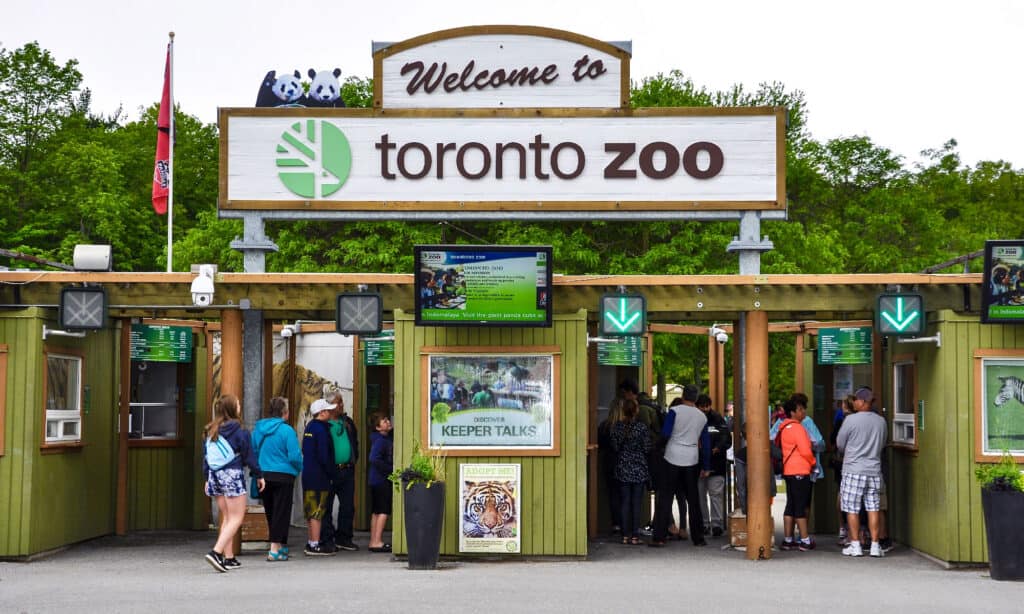 Zoo di Toronto