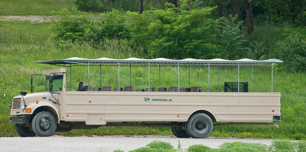 Il bus safari delle terre selvagge