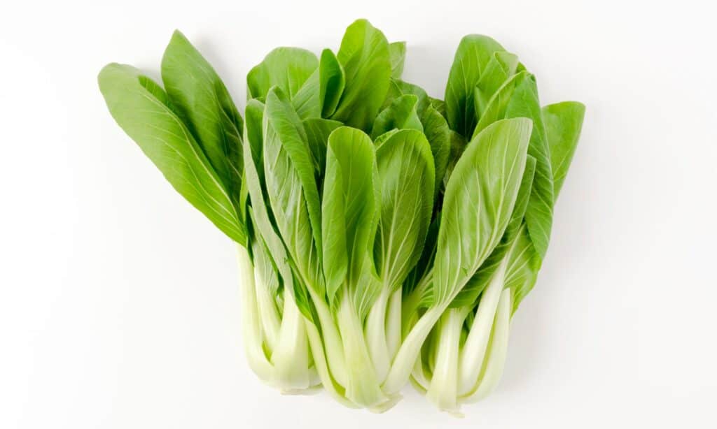 Bok Choy vs Baby Bok Choy