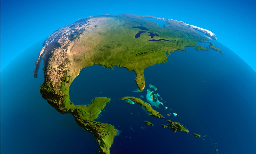 Zona morta del Mississippi