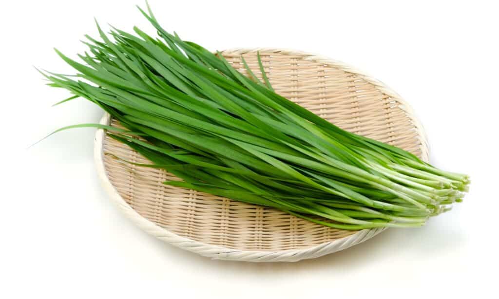 Aglio erba cipollina vs erba cipollina