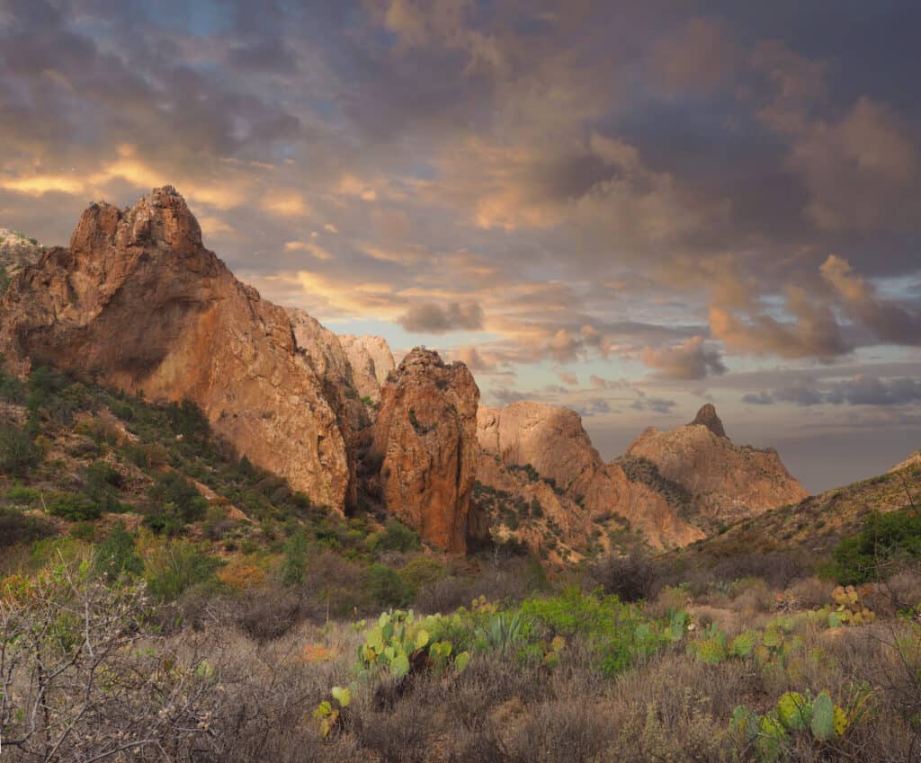 Parco nazionale di Big Bend del bacino di Chisos