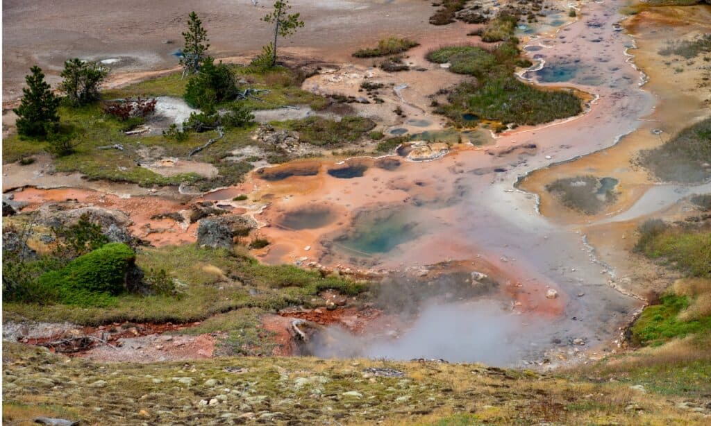 Vulcano di fango di Yellowstone