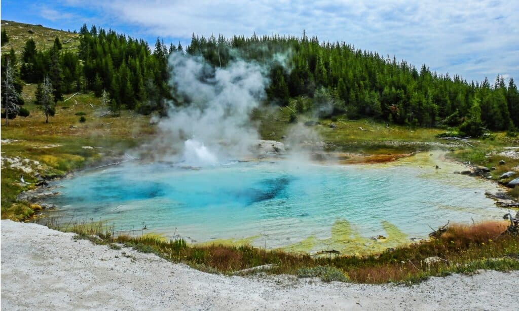 i migliori geyser di Yellowstone