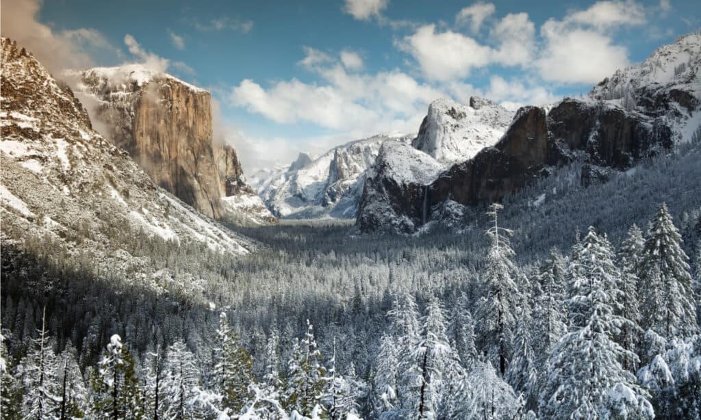 Yosemite National Park Inverno
